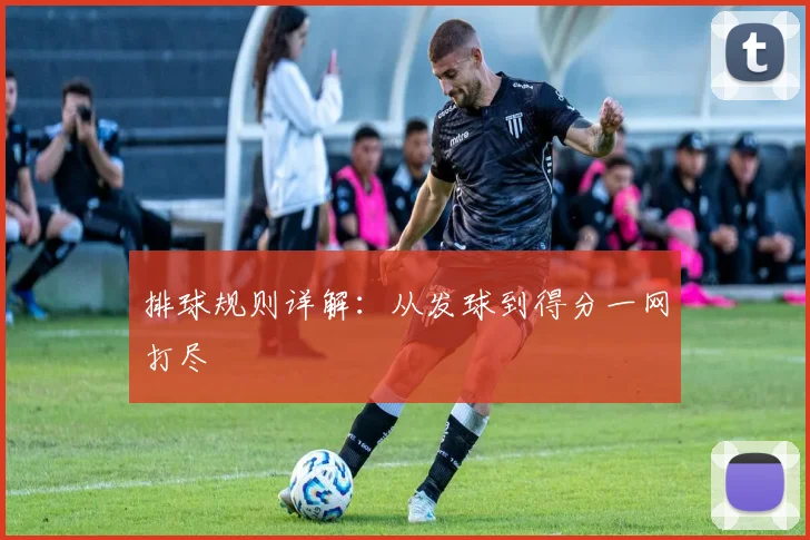 排球规则详解：从发球到得分一网打尽